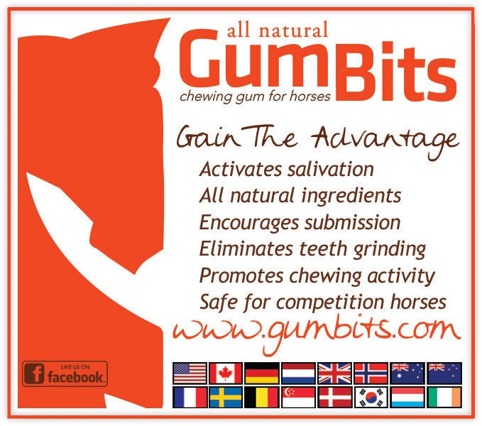 Gum Bits Natural Horse Chewing Gum Riding Warehouse