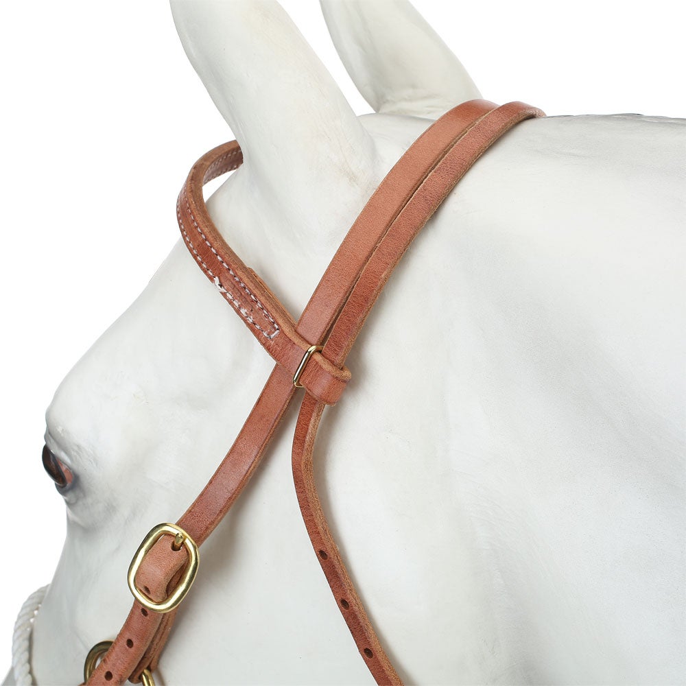 Berlin Custom Leather Sidepull Bitless Headstall