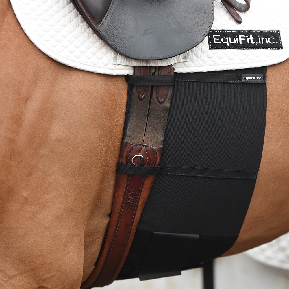 EquiFit Belly Band Guard for Spur Protection