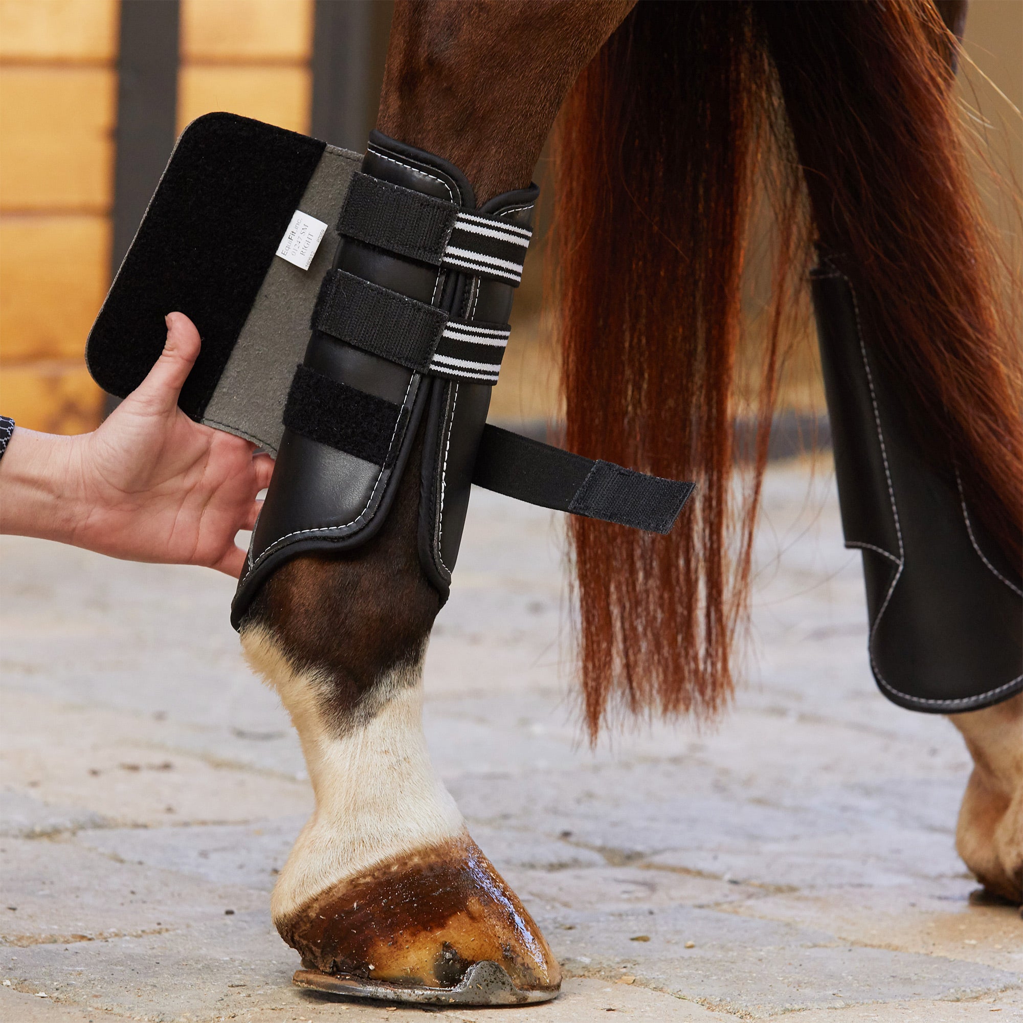 EquiFit MultiTeq ImpacTeq Lined Horse Sport Boots Hind