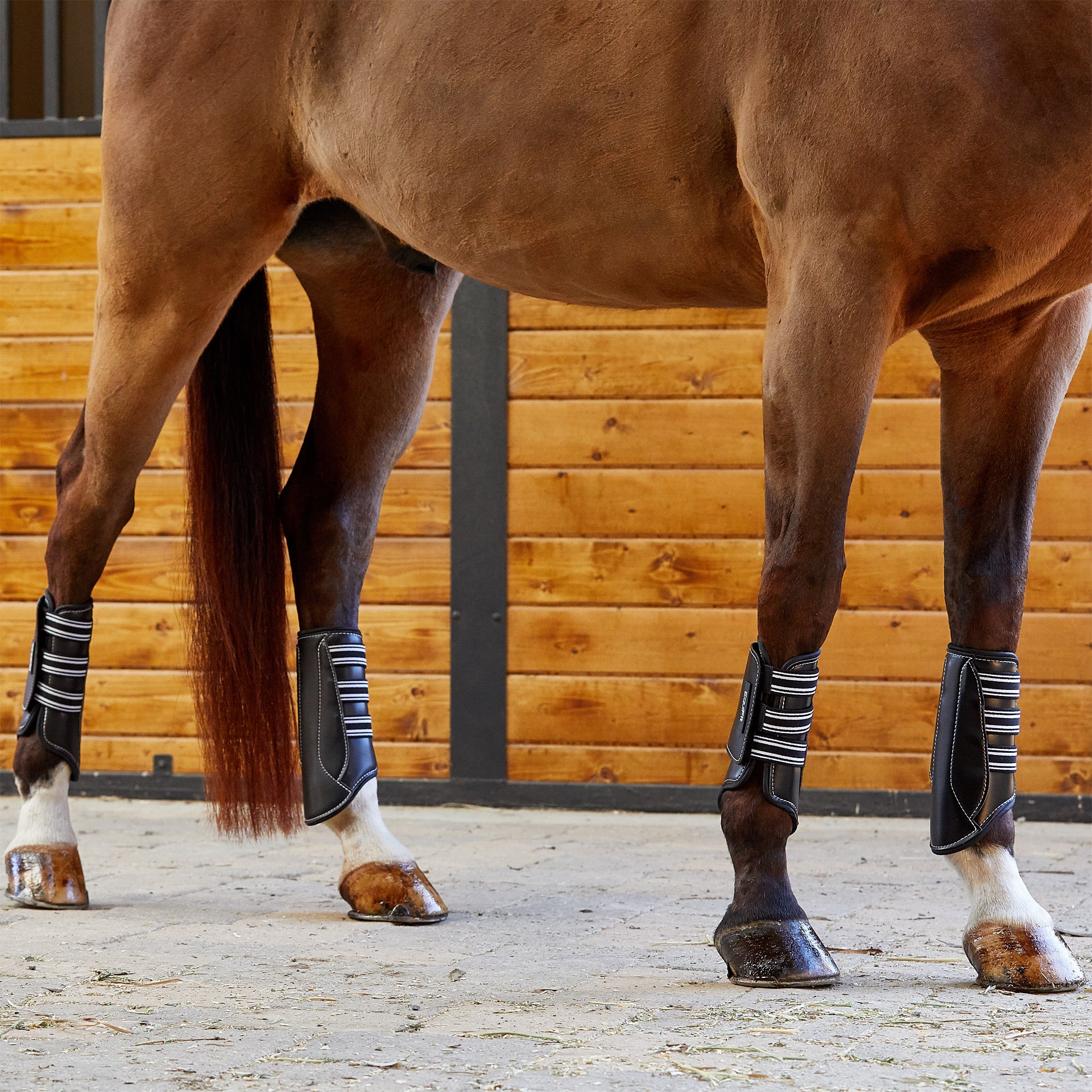 EquiFit MultiTeq ImpacTeq Lined Horse Sport Boots Hind