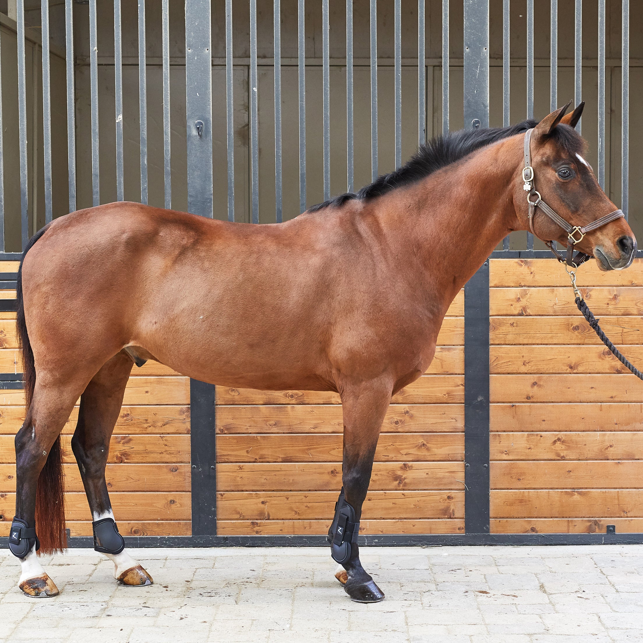 Horze Advanced Protec Tendon & Fetlock Horse Boot Set