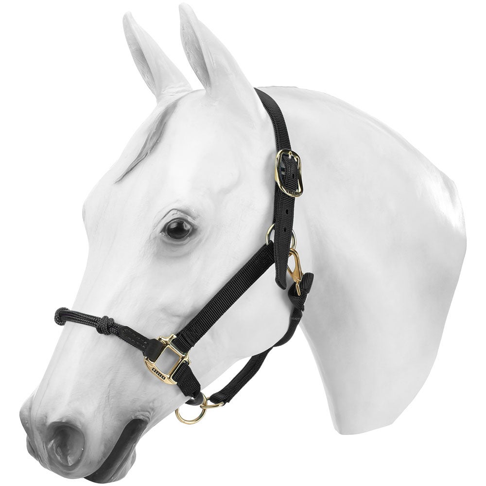 The Horse Education Economy HYBRID Halter Rope & Nylon