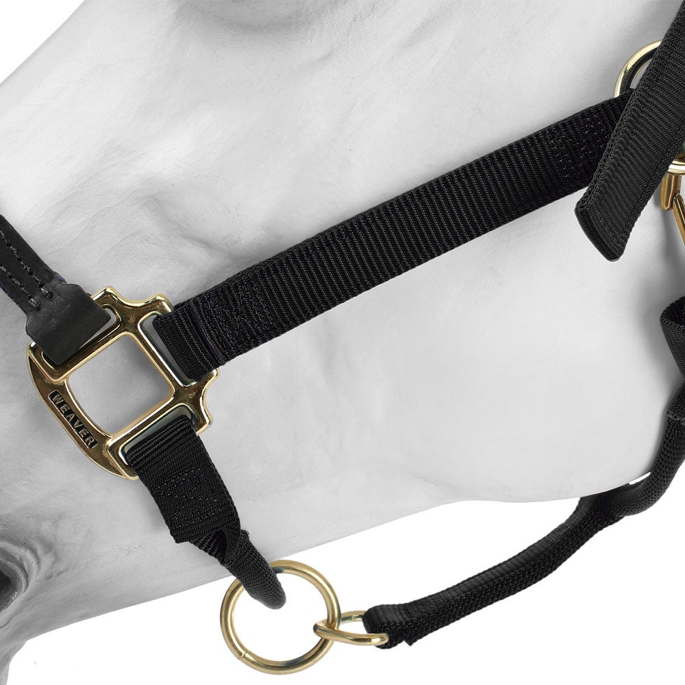 The Horse Education Economy HYBRID Halter Rope & Nylon