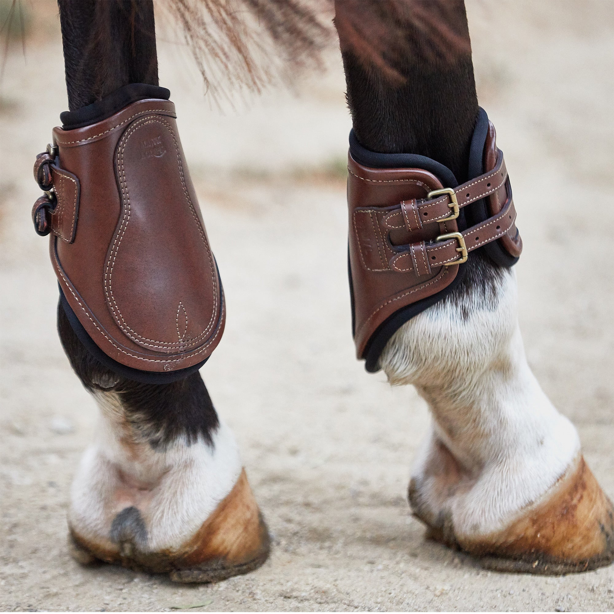 Majyk Equipe Genuine Leather/Buckle Fetlock Hind Boots