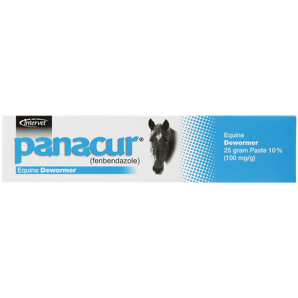 Panacur Fenbendazole Horse Dewormer Paste