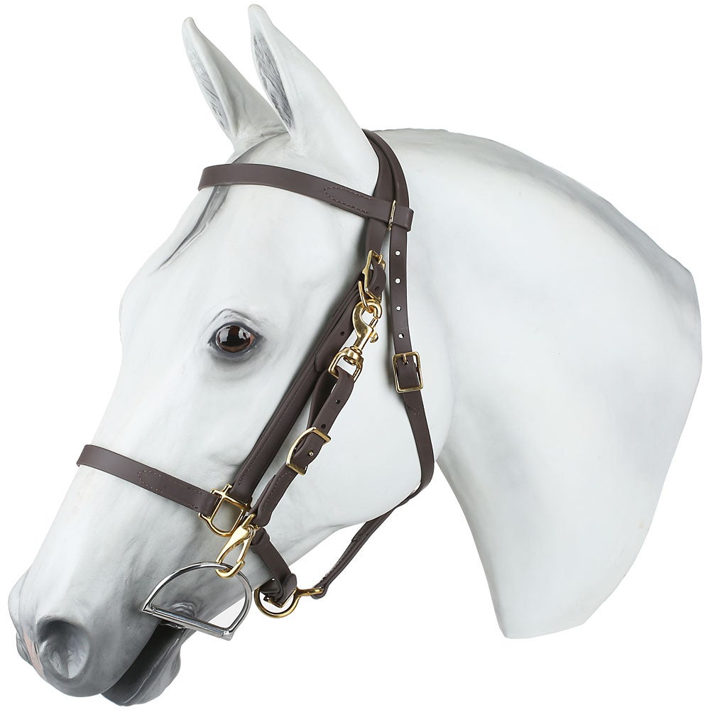 Tory All Weather Synthetic Trail Halter Bridle Combo