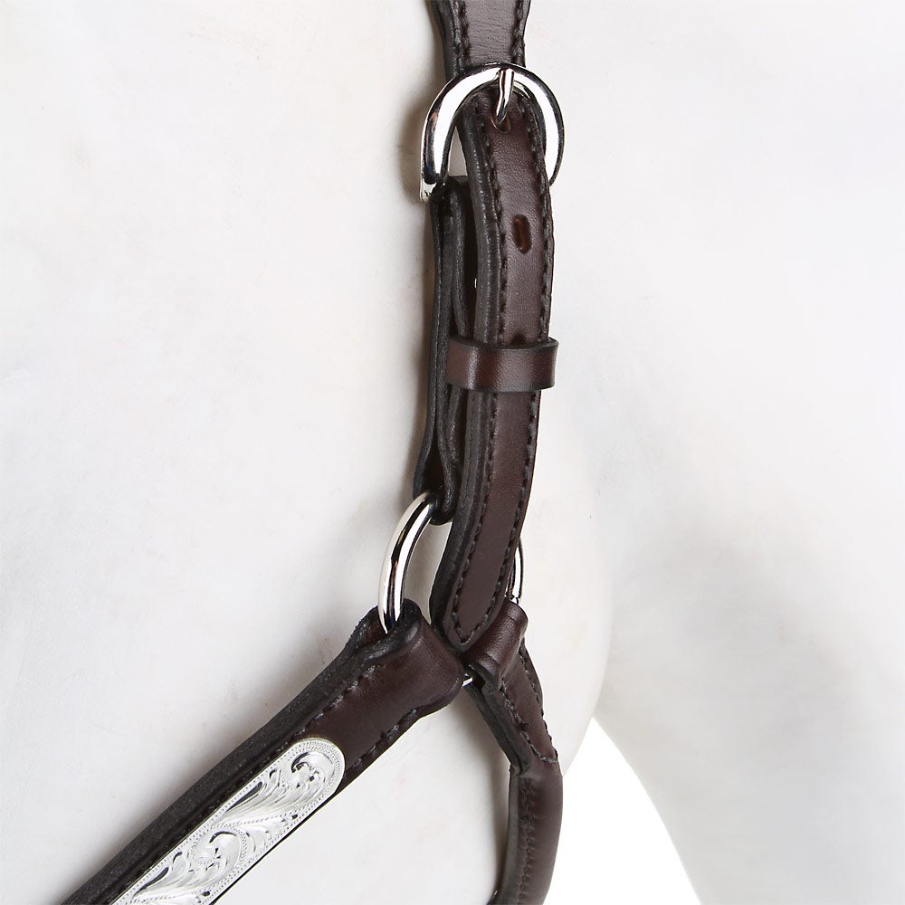 Tory Oklahoma Western Show Halter & Lead Yearling