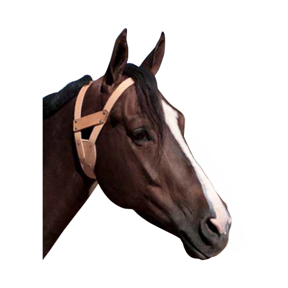 Weaver Leather Miracle Cribbing Collar Medium