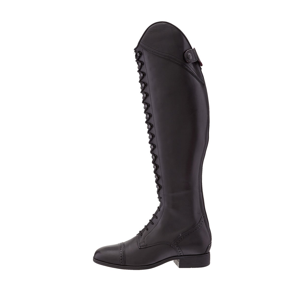 ariat capriole tall riding boot