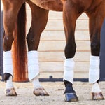 Lot De 4 Bottes Majyk Equipe XC – Taille S – Noires En Néoprène – Occasion En Bon état