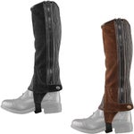 Ovation Child's Heart & Horse Half Chaps - Saddlery