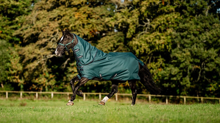 Horse Blankets and Sheets Riding Warehouse