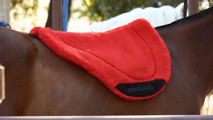 Endurance Saddle Pads Riding Warehouse