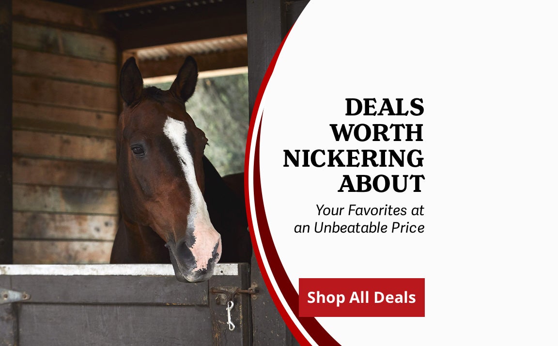 Shop All Western Horse & Rider Supplies | Riding Warehouse