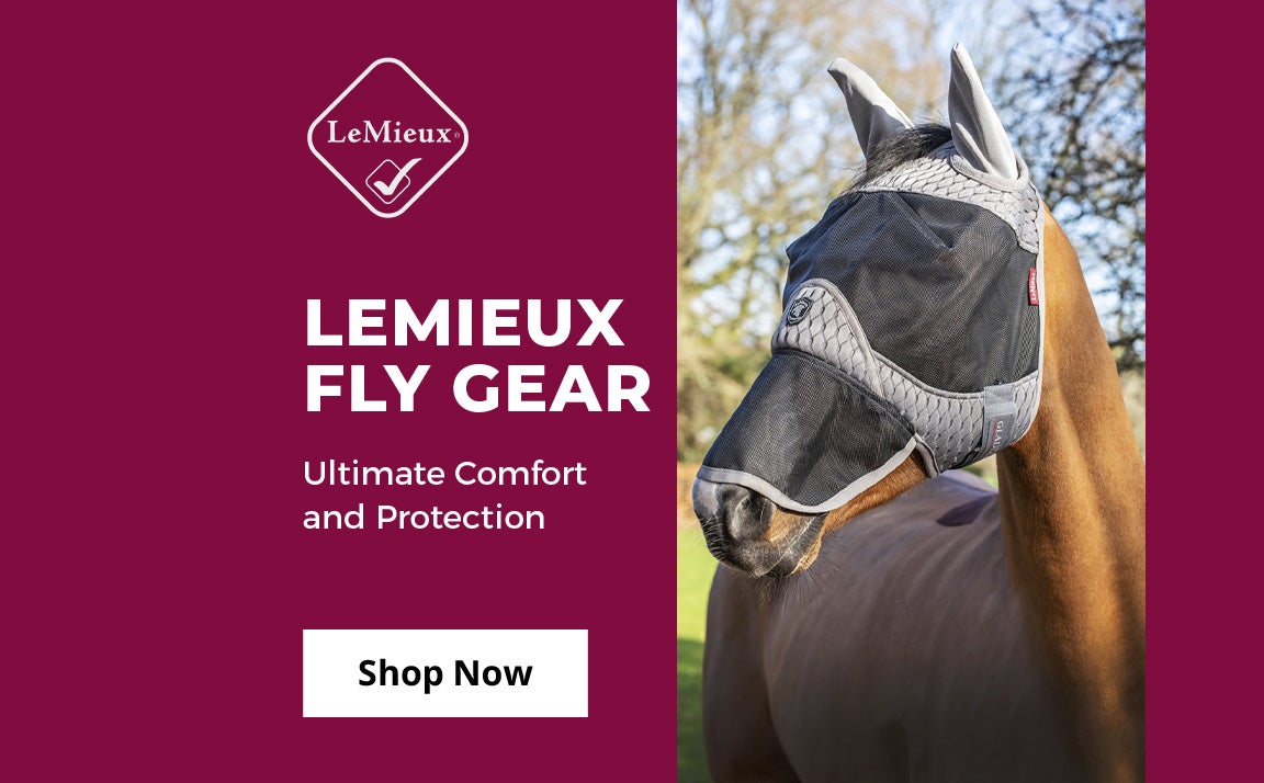 Shop All English Horse & Rider Supplies Riding Warehouse