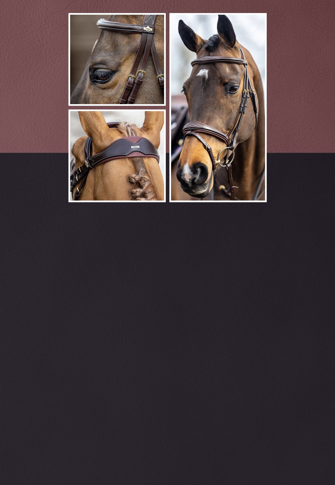 Horse Tack Horse Gear & Supplies Riding Warehouse