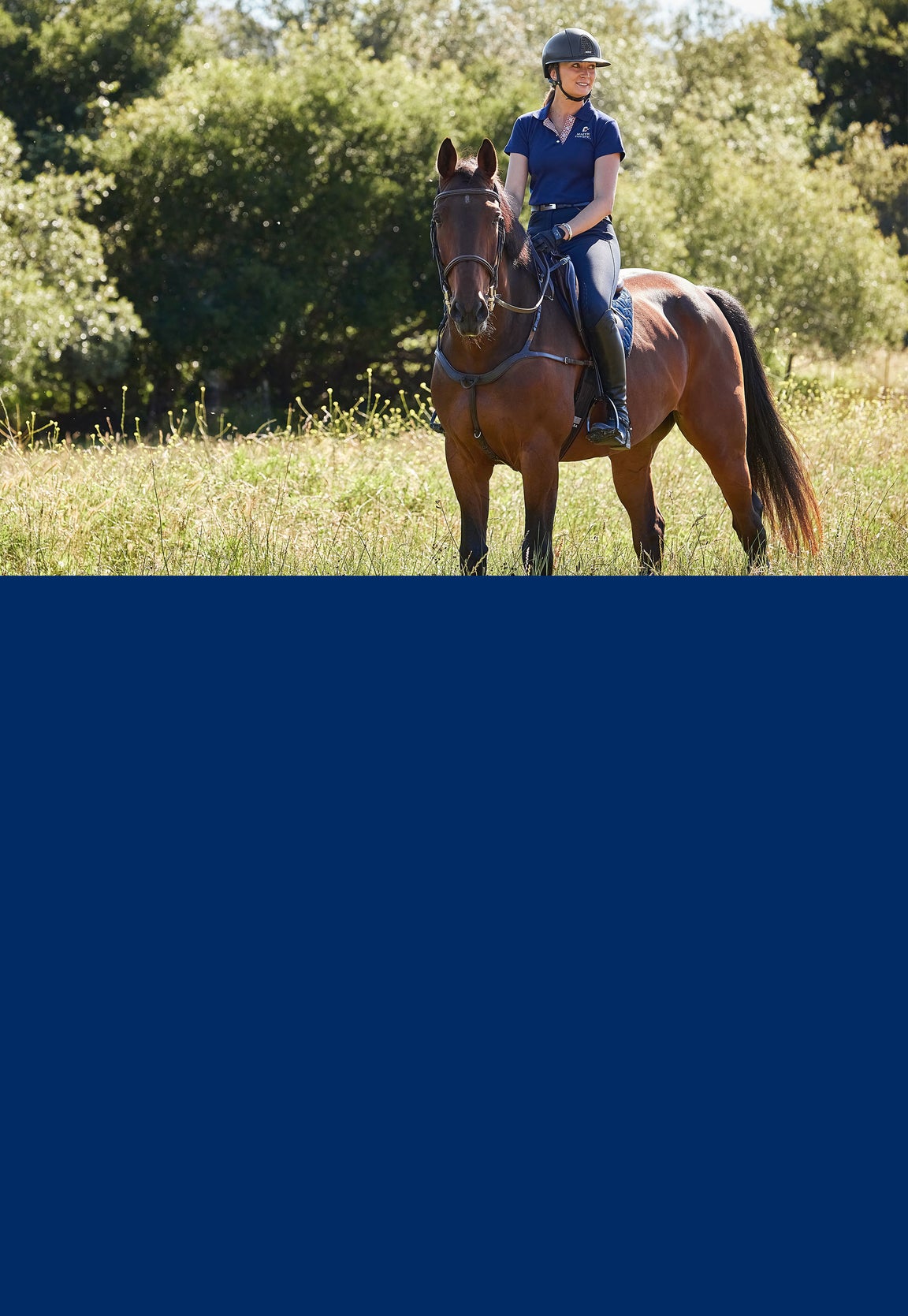Horse Tack | Horse Gear & Supplies - Riding Warehouse