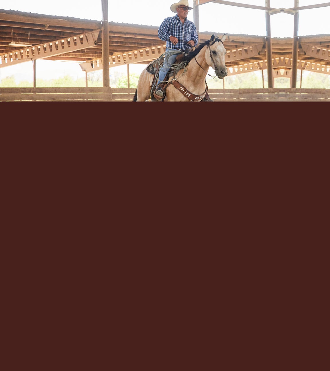 English Saddle Pads Riding Warehouse
