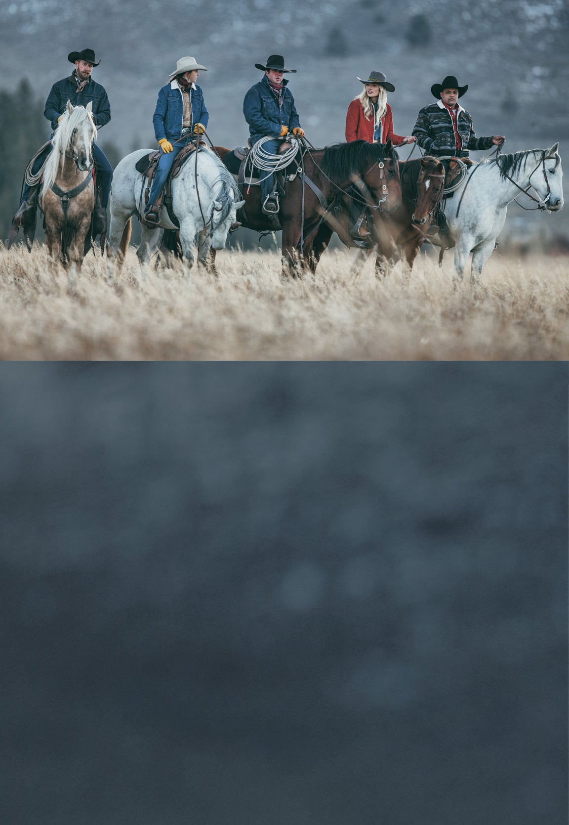Horse Tack | Horse Gear & Supplies - Riding Warehouse