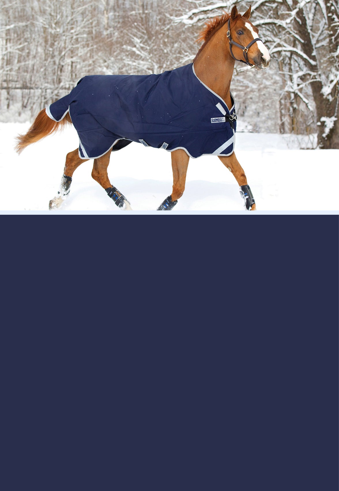 Horse Blankets & Sheets Riding Warehouse