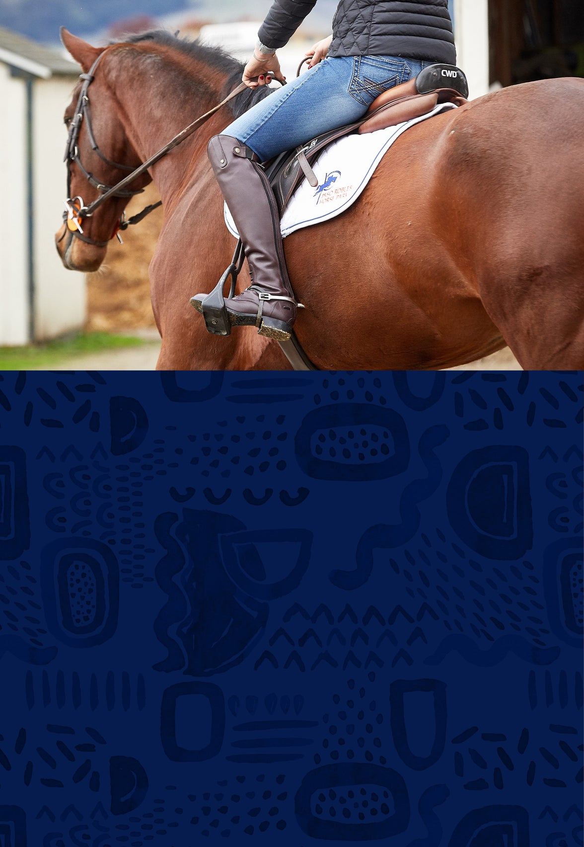 Sw Riding Trainer Horse & Rider Training Equipment - Riding Warehouse