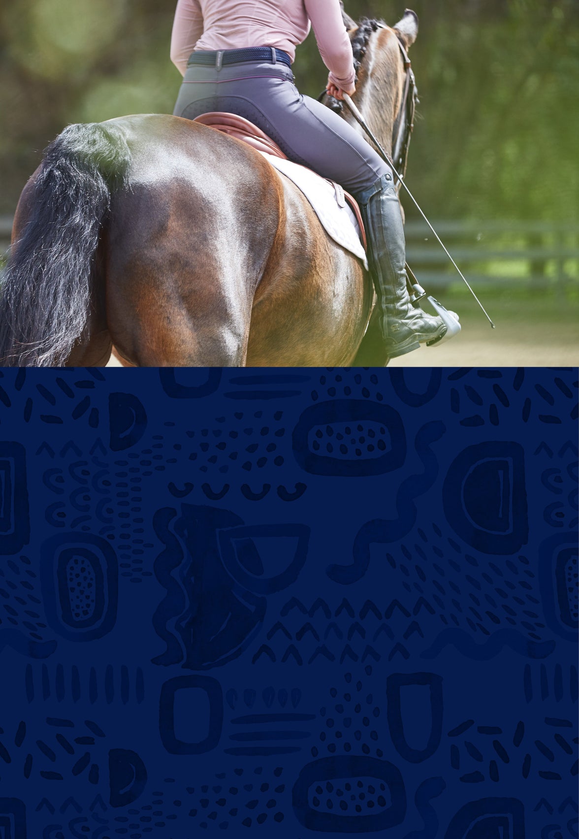 Horse & Rider Training Equipment Riding Warehouse