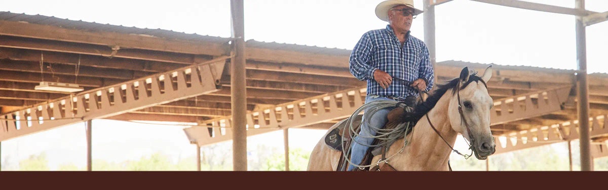 Western for Horse and Rider