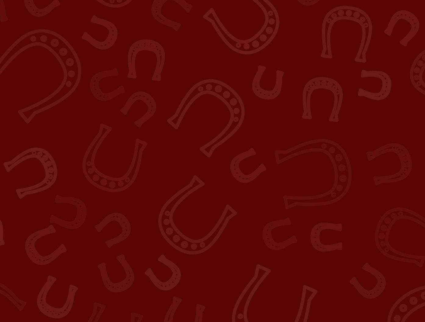 Riding Clearance Riding Warehouse