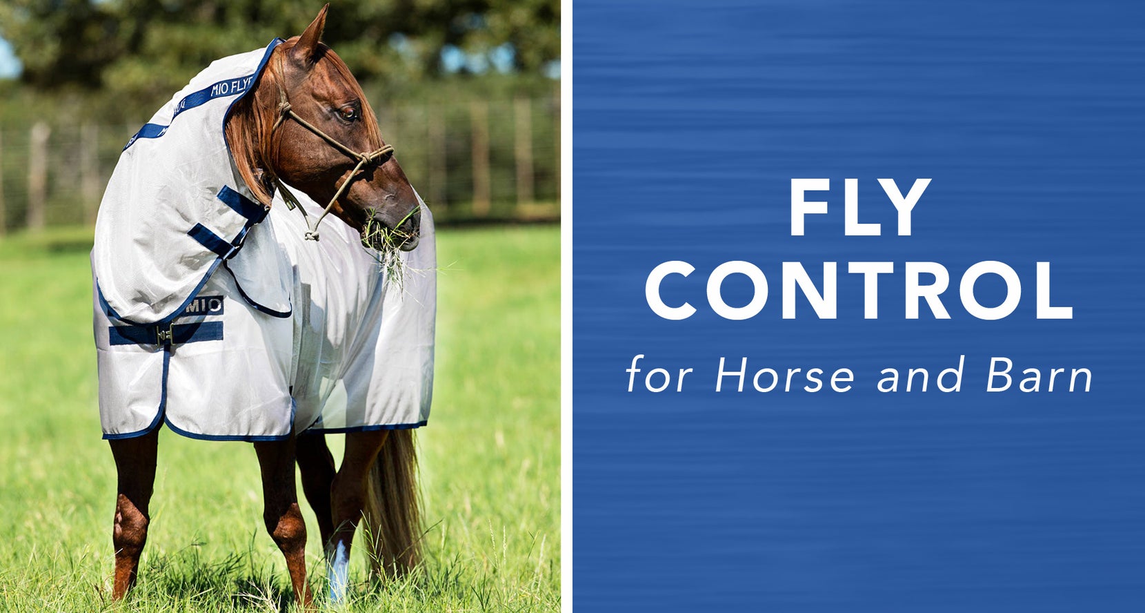 Fly Control for Horse & Barn Riding Warehouse