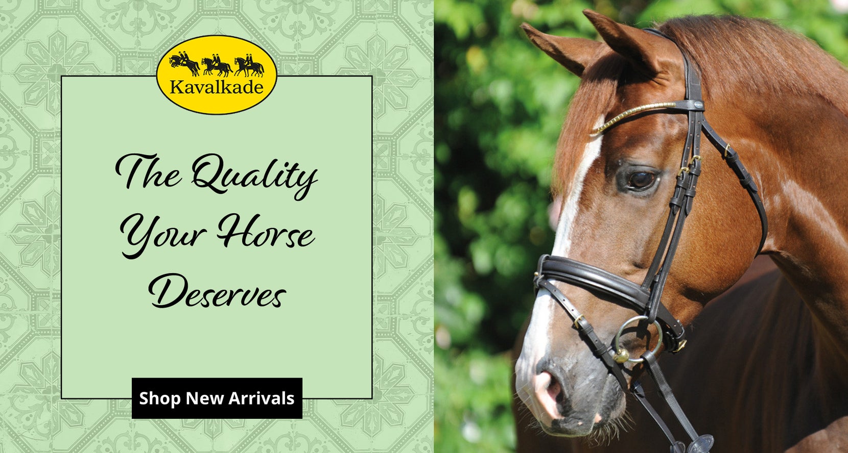 Shop All English Horse & Rider Supplies Riding Warehouse