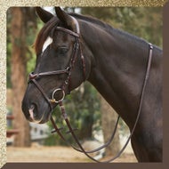 Reins, Breastplates, and Ear Bonnets