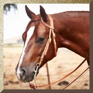 Reins and Breast Collars