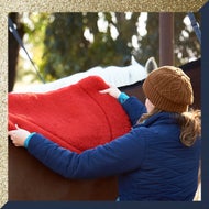 Shapes and Colors for Every Need