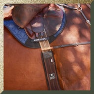 Every Discipline Covered