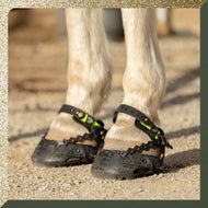 Hoof Protection for a Better Ride