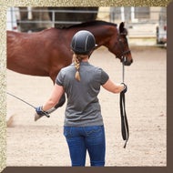 Easy Adds to Every Tack Room