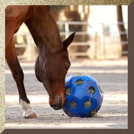 Plus Supplements to Stock Up