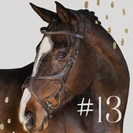 Newly expanded and wrappable for under the tree.