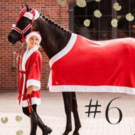 Christmas prep the horse girl way.