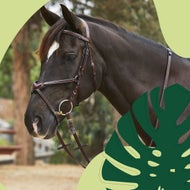 Reins, Breastplates, and Ear Bonnets
