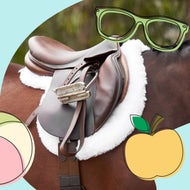 Jump and Dressage Options