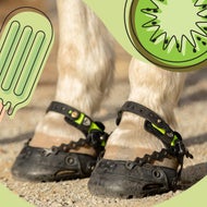 Hoof Protection for a Better Ride