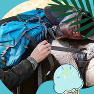 Plus Cushions for a More Comfortable Ride