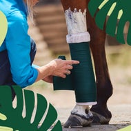 For a Happier Horse