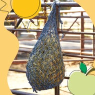 Must-Haves for Every Barn