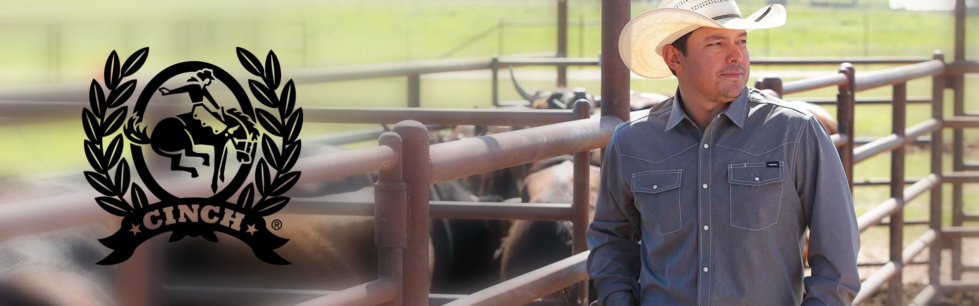 Cinch Spring for Him & Her - Riding Warehouse