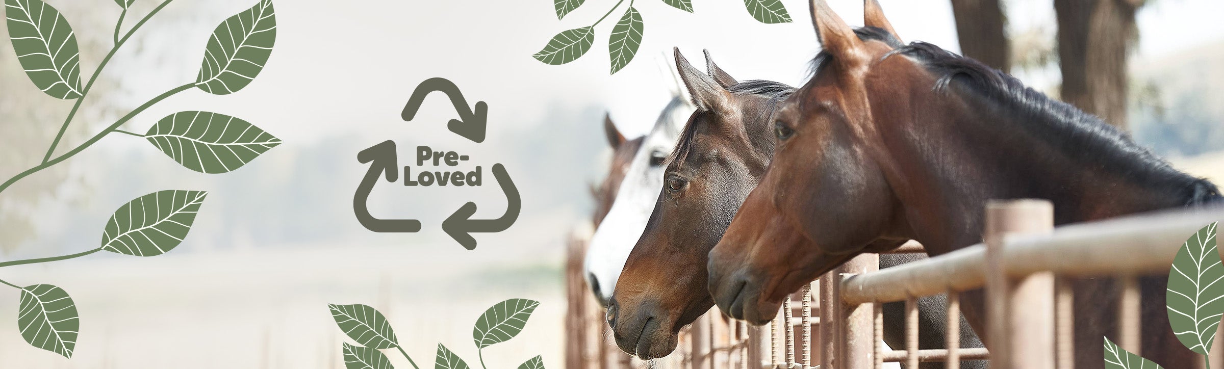 Pre-Loved Purchase Program - Riding Warehouse