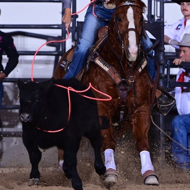 Breakaway & Calf Ropes