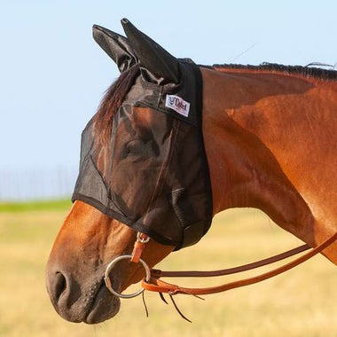 Fly Gear for Riding